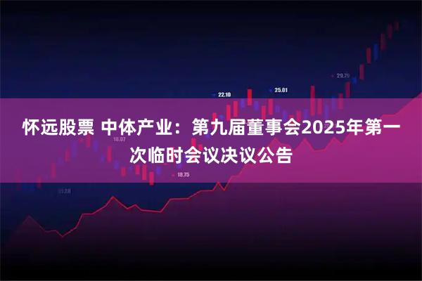 怀远股票 中体产业：第九届董事会2025年第一次临时会议决议公告