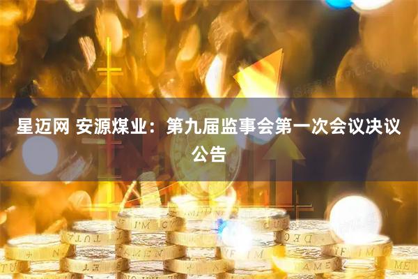 星迈网 安源煤业：第九届监事会第一次会议决议公告