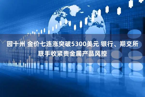园十州 金价七连涨突破5300美元 银行、期交所联手收紧贵金属产品风控
